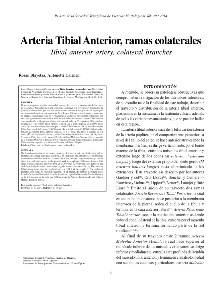 Resources for innovative learning of anatomy and foot ossification: Graphic  design and virtual reality - Moreno‐Marin - 2024 - Journal of Foot and  Ankle Research - Wiley Online Library, image size:768x1024