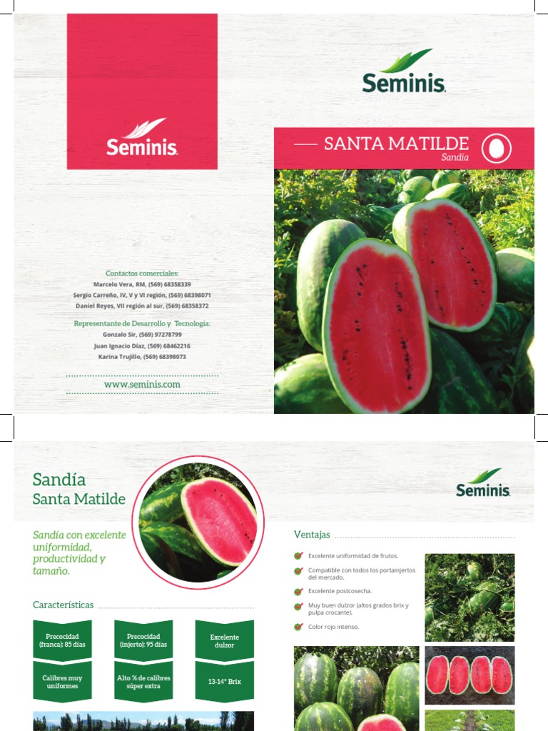 Folleto Santa Matilde | PDF
