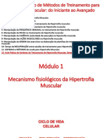 Módulos Do Curso de Métodos de Treinamento para Hipertrofia Muscular: Do Iniciante Ao Avançado