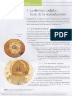 La Division Celular PDF