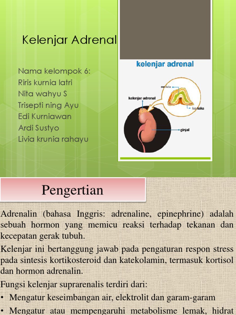 Kelenjar Adrenal