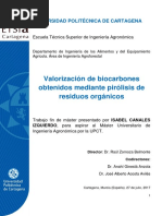 Deschos organicos vegetales