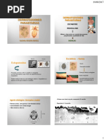 21. Aula Dermatozoonoses Parasitárias