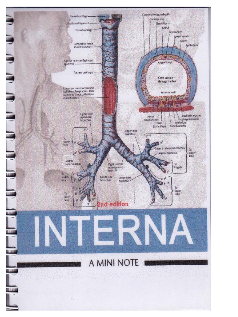 Interna Mini Note PDF | PDF