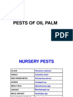 PESTS OF OIL PALM Pictures Pps - Pps