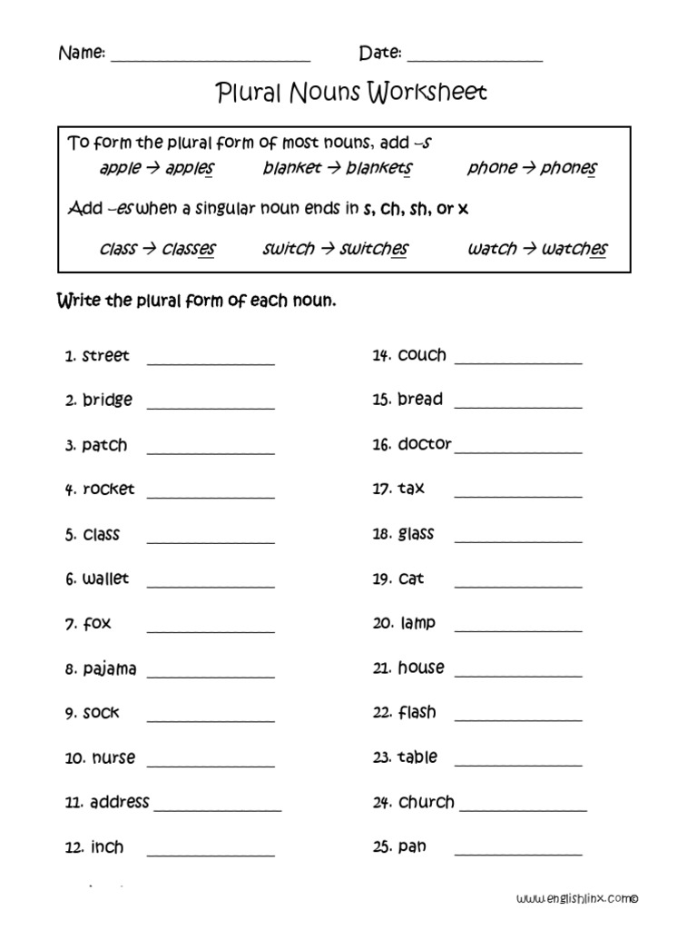 Plural Nouns Worksheet PDF | PDF | Plural | Linguistic Morphology
