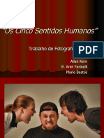 Os Cinco Sentidos Humanos