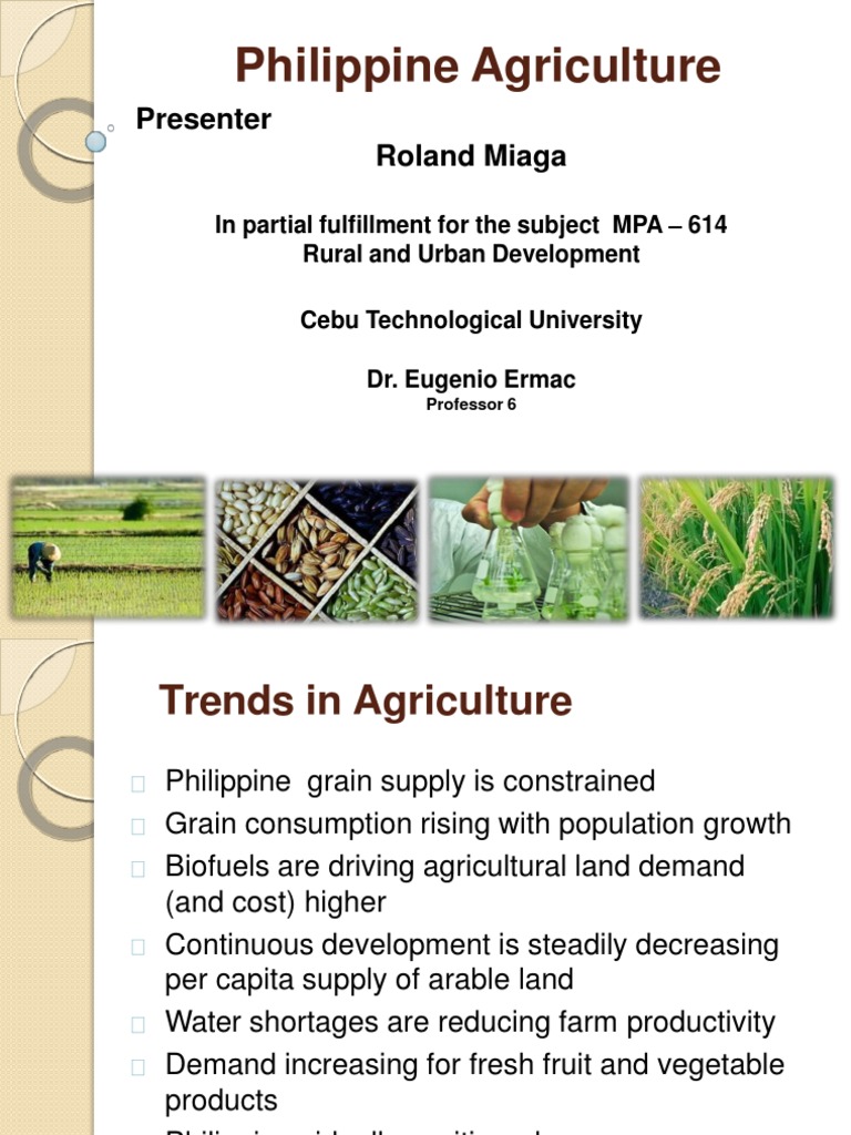 Trend of Philippine Agriculture - Report | PDF | Irrigation | Agriculture