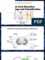 Charway-Felli - Spinal Cord Disorders - Epidemiology and Classification