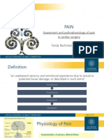 Assessment and Pathophysiology of Pain in Cardiac Surgery Fandy Rachmad Dewantoro