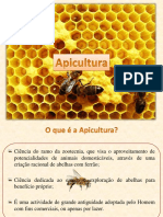 apicultura_-_nooes_gerais.pdf