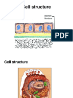 Histo lab