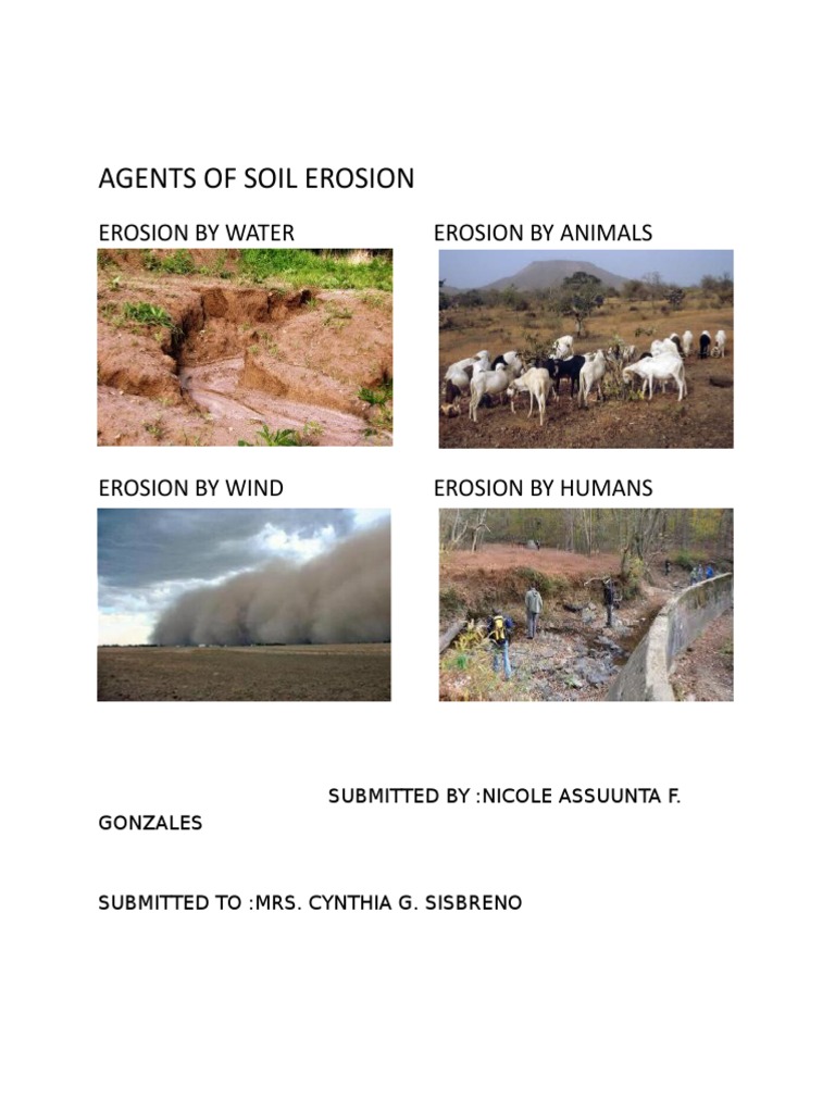 agents-of-soil-erosion-pdf