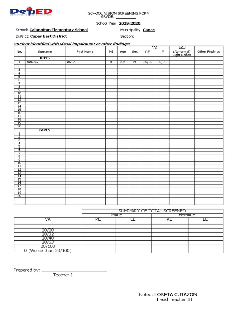 School Vision Screening Report 2019-2020 | PDF