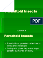 06 Parasitoid Insects