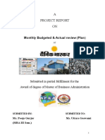 A Project Report ON: Monthly Budgeted & Actual Review (Plan)