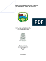 Informe Preliminar Guadalupe Antioquía 1.6