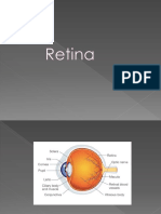 Retina