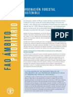 Ordenamiento Forestal FAO