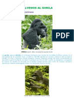 Fatla Articulo Del Gorila Ccv012010