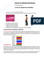 Circuitos eléctricos serie paralelo