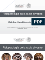 NGFH5_Fisitopatologia_rabia_silvestre_SEMARNAT_JAL.pdf