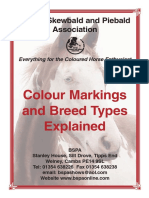 Colours Booklet of Tobiano