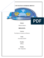 Procesos de Osmosis en la Zanahoria