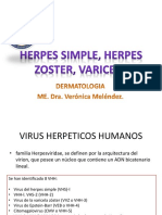 Herpes Simple, Herpes Zoster, Varicela