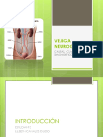 Vejiga neurogénica: causas, clasificación y diagnóstico