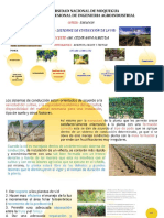 Sistemas de Conducción de La Vid