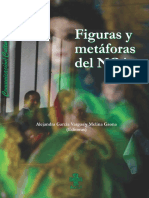 Figuras y metáforas del NOA 