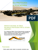 Huacachina Monografia