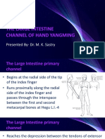 02_THE LARGE INTESTINE CHANNEL OF HAND YANGMING.pptx