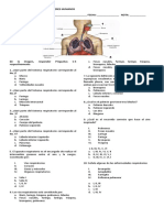 Evaluación Respiración en Los Seres Humanos