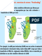 Traduccion 2