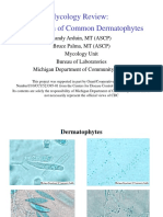 Mycology Review: Identification of Common Dermatophytes