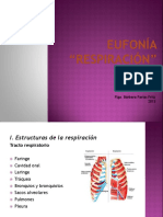 clase_de_respiracion (2).pdf
