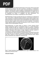 Introdução aos Fungos 