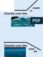 Charlie's Blackbird Adventure Over the Sea