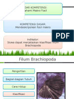 Klasifikasi Brachiopoda