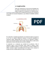 Proceso respiración