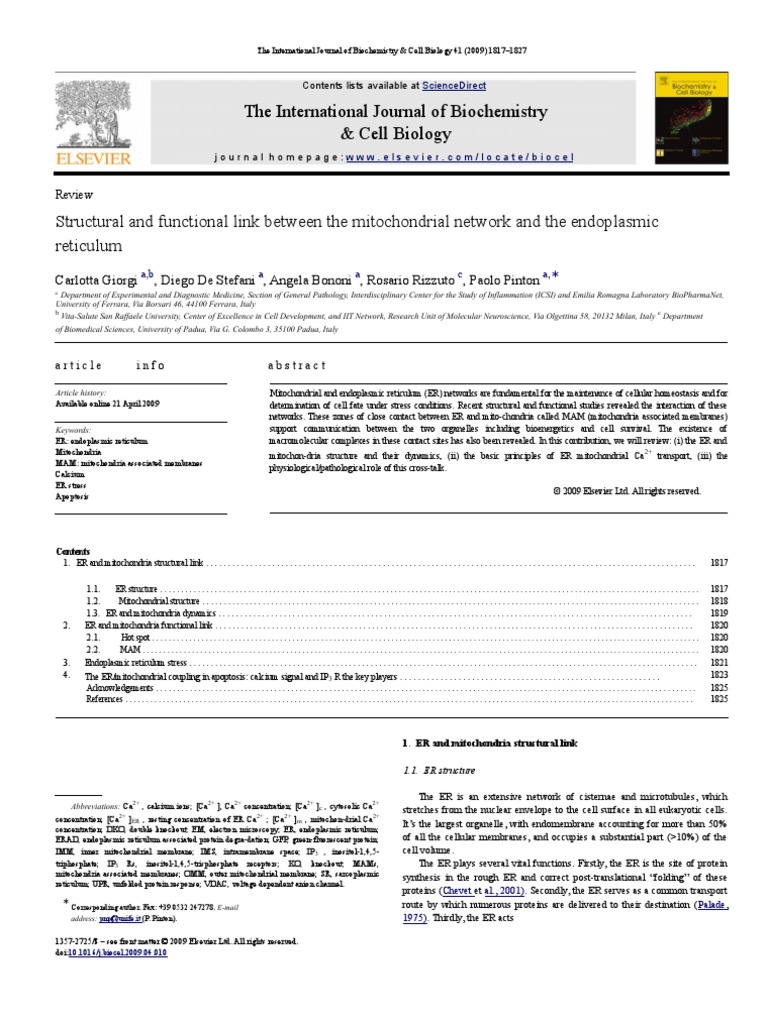 The International Journal of Biochemistry & Cell Biology | PDF ...
