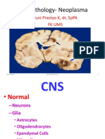 CNS Pathology - Neoplasma-Dr - Yuni