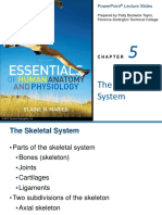 The Skeletal System: Powerpoint Lecture Slides