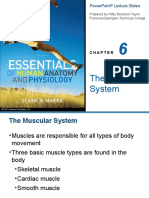 The Muscular System: Powerpoint Lecture Slides