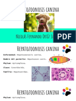 Hepatozoonosis Canina