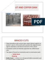 Braced Cut and Coffer Dam