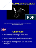 Malaria Dalam Kehamilan: Infection