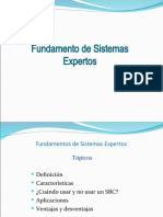 Sistema Experto